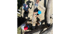 Kinder klettern auf einem Holzspielplatz