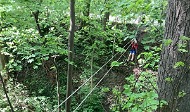 News- Bild: Eine Seilbrücke, welcher über einen Graben gespannt wurde, umgeben von Bäumen